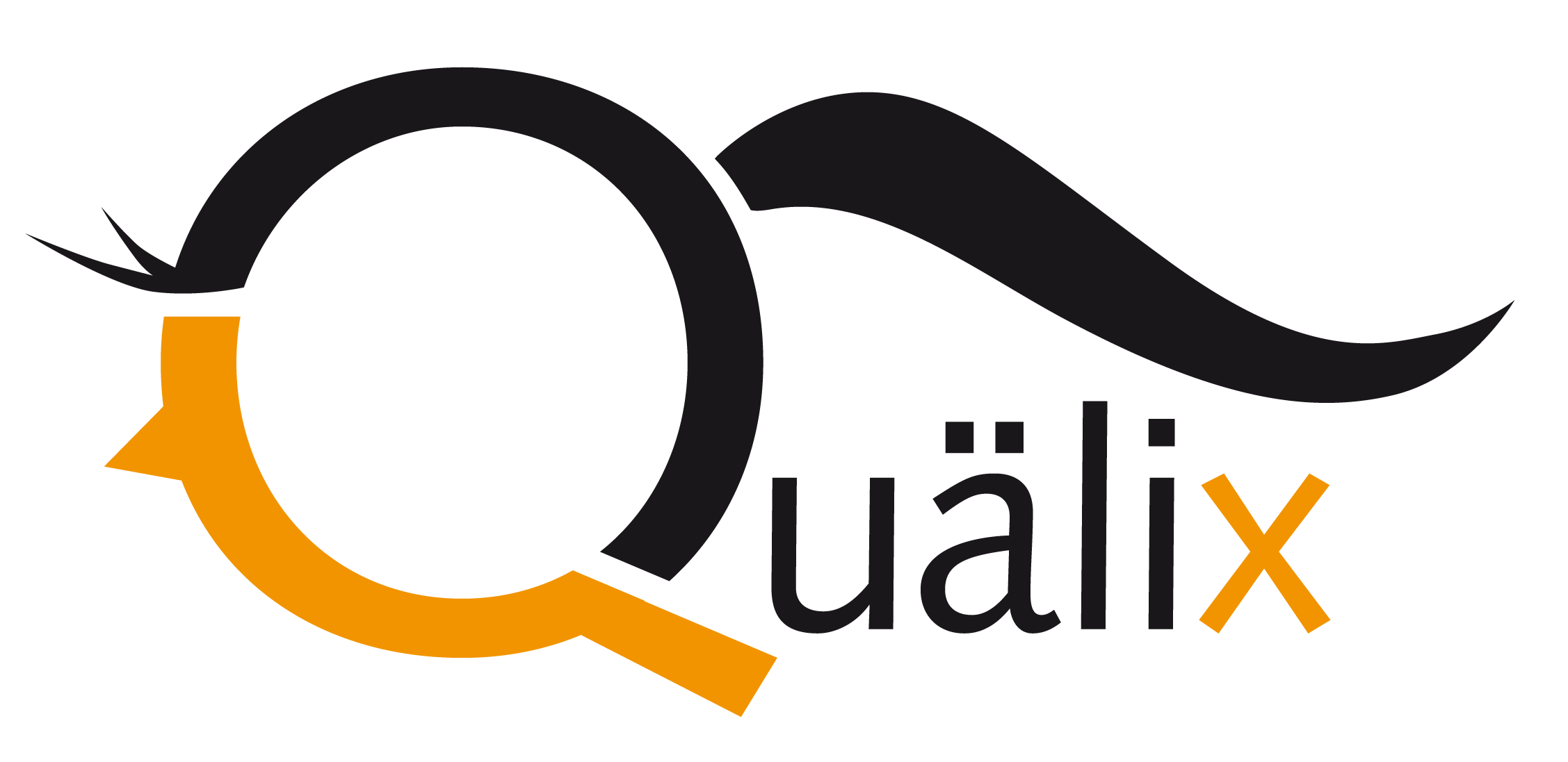 Quaelix Logo;